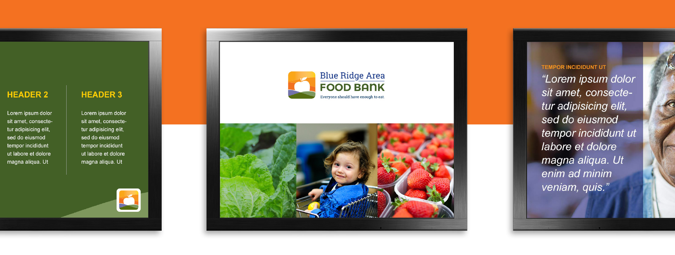Red Orange Studio | Blue Ridge Area Food Bank PowerPoint