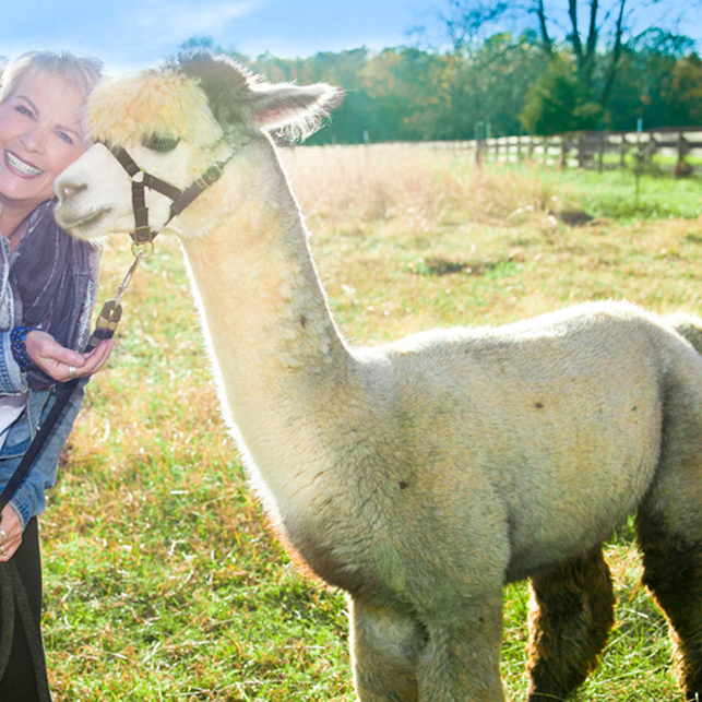 Red Orange Studio | RVAg 2020 PIP Nonprofit Award Recipient