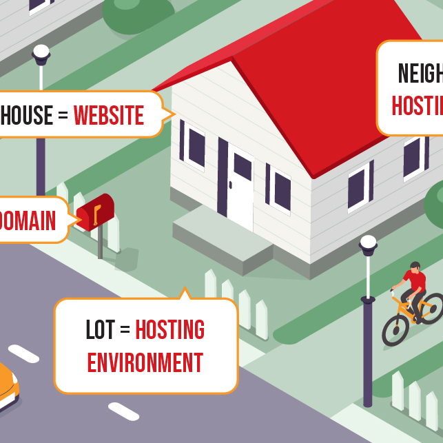 RO Domain Hosting Explainer Graphic blog feature