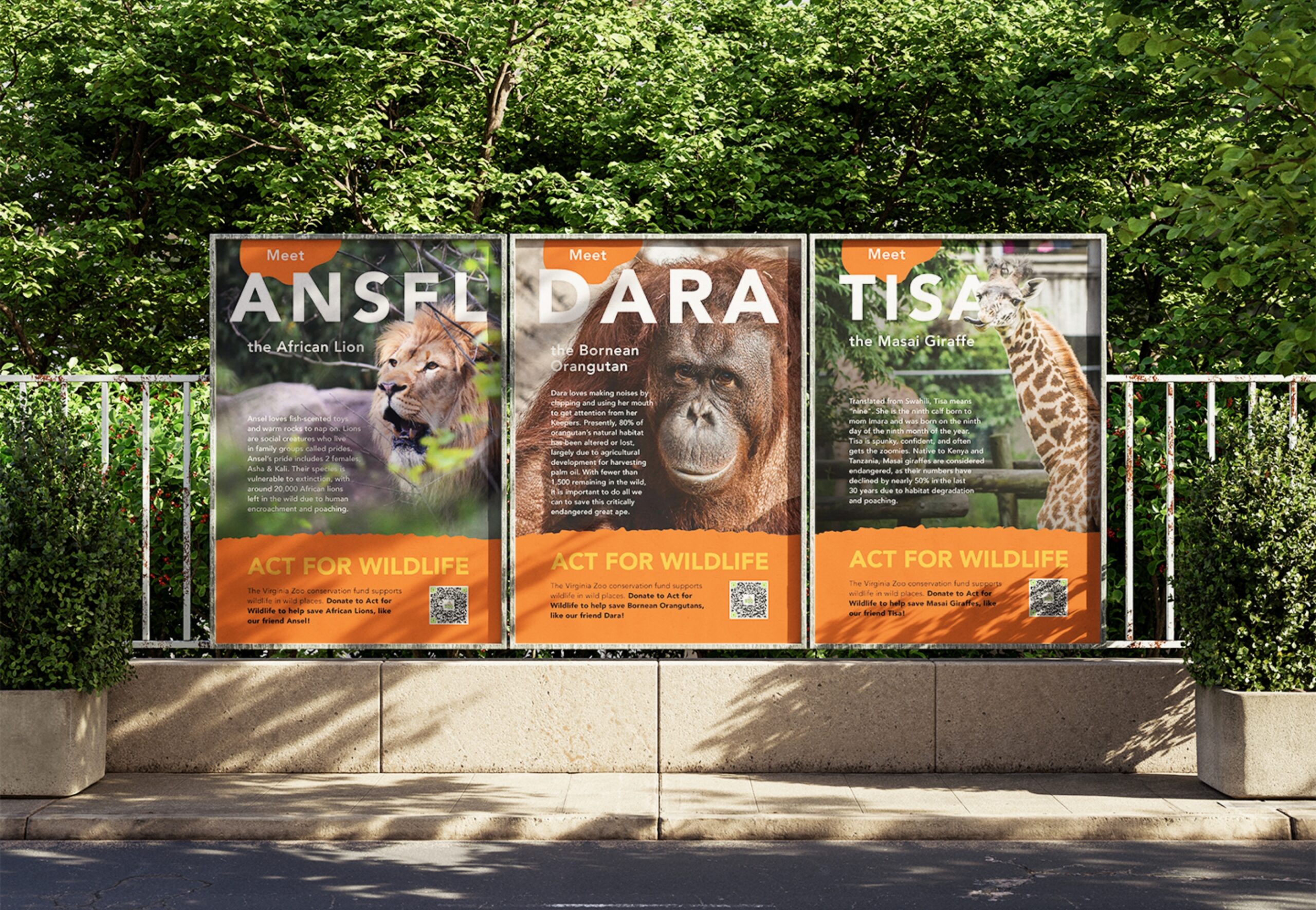 virginia zoo act for wildlife posters