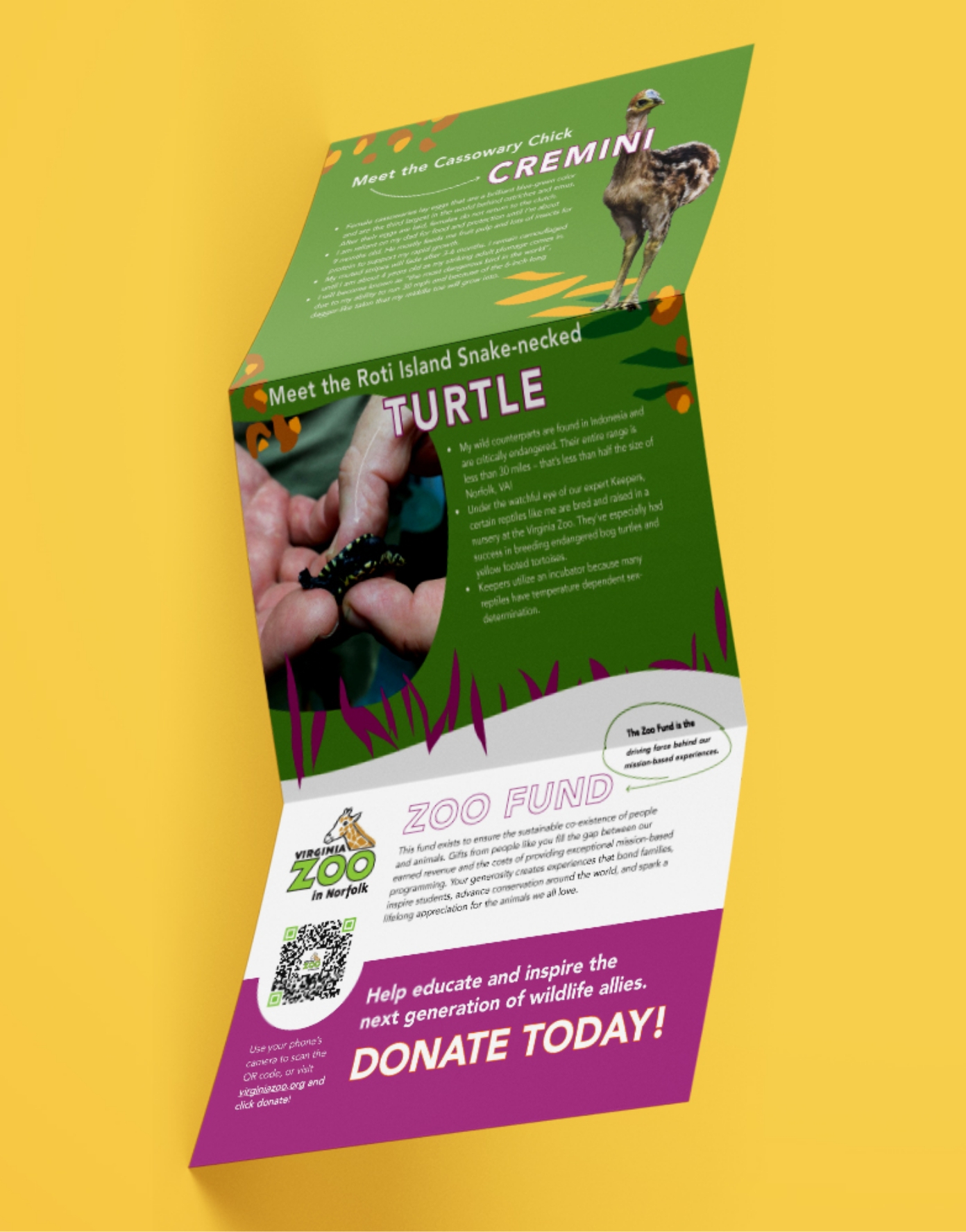 virginia zoo direct mail trifold mockup