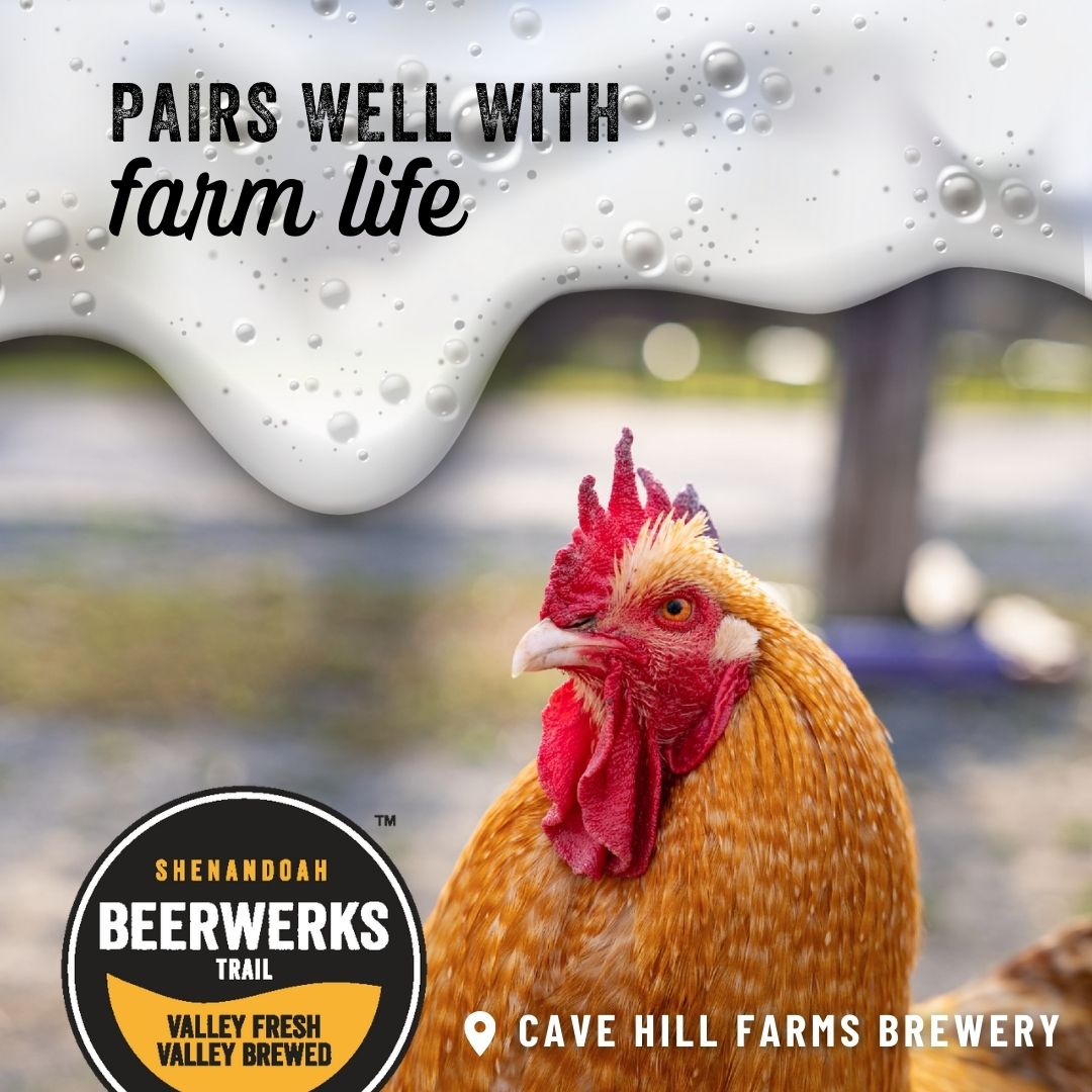 Pairing Beerwerks Spring 2025 Ad 1 1 Farm