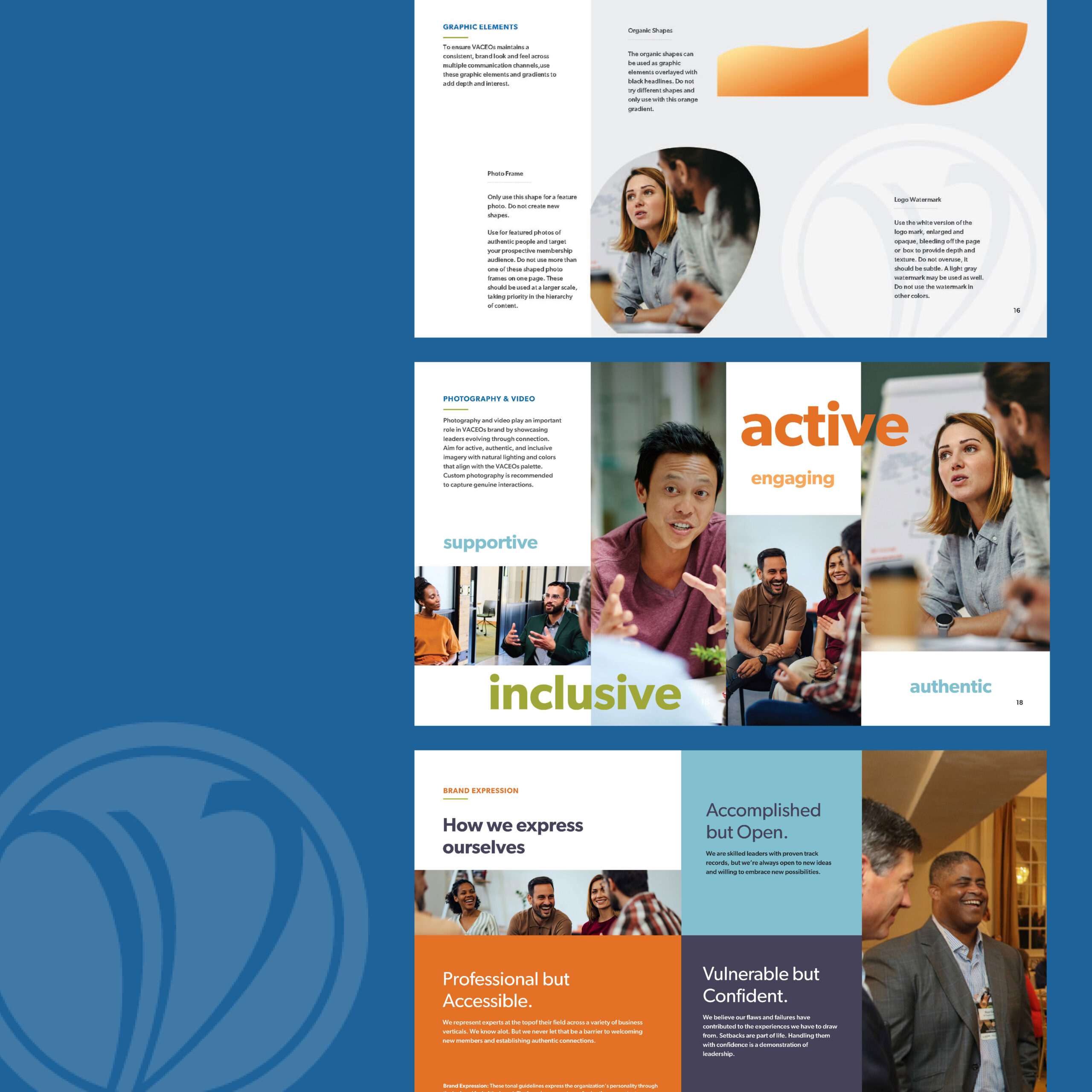 VACEOs Brand Guide Graphic