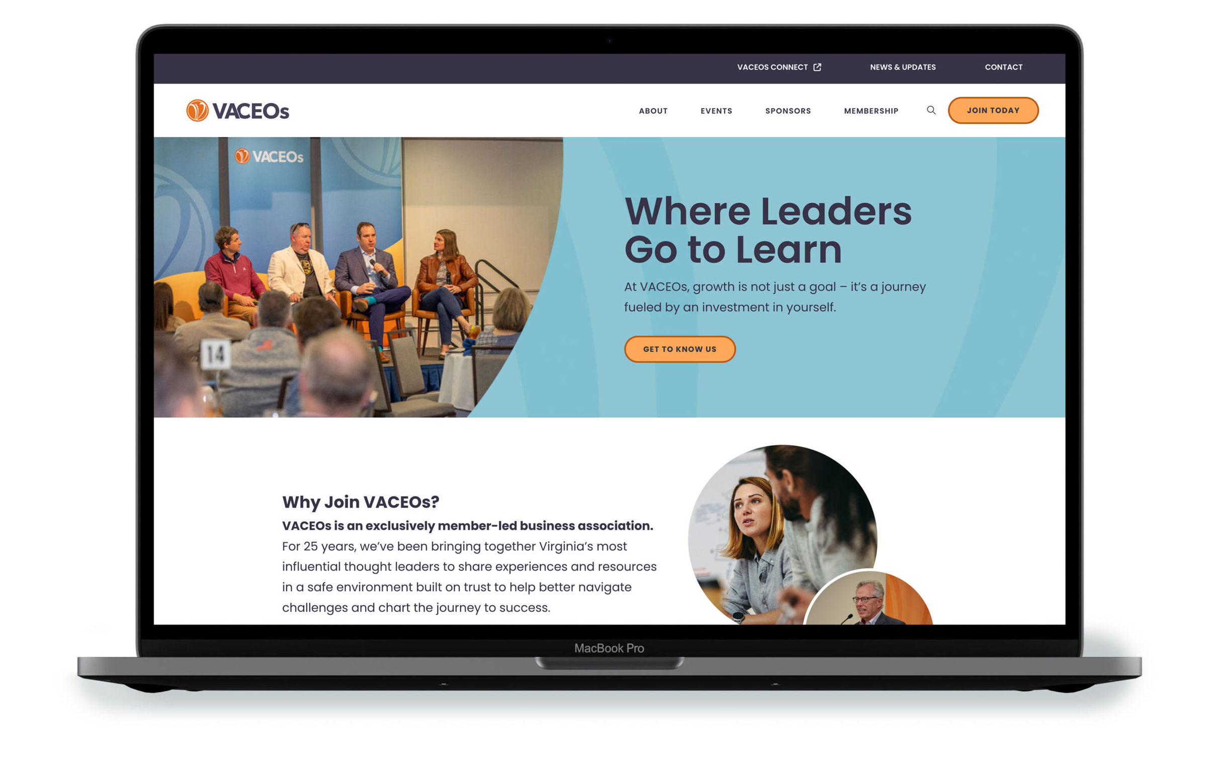 VACEOs Website Mockup